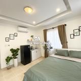 Studio Apartment for Rent in Cong Quynh - D1/910